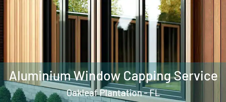  Aluminium Window Capping Service Oakleaf Plantation - FL