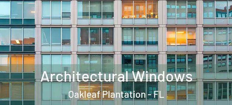  Architectural Windows Oakleaf Plantation - FL