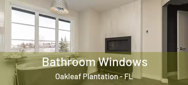  Bathroom Windows Oakleaf Plantation - FL