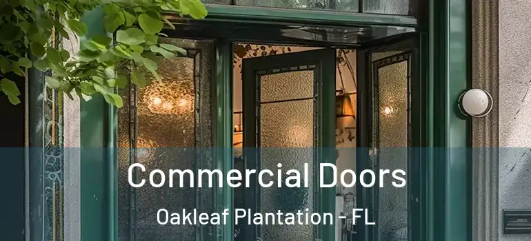  Commercial Doors Oakleaf Plantation - FL