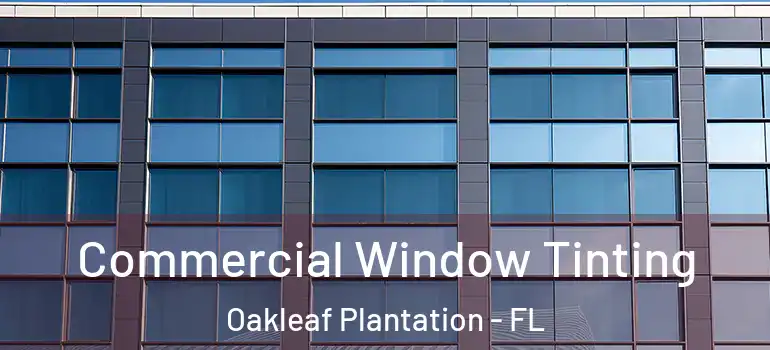  Commercial Window Tinting Oakleaf Plantation - FL