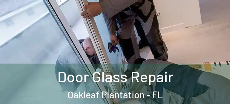  Door Glass Repair Oakleaf Plantation - FL