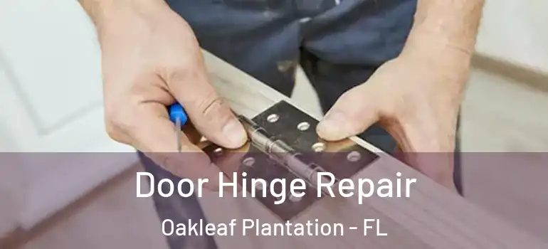  Door Hinge Repair Oakleaf Plantation - FL