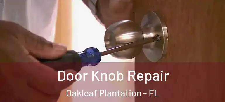  Door Knob Repair Oakleaf Plantation - FL