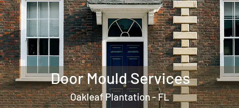  Door Mould Services Oakleaf Plantation - FL