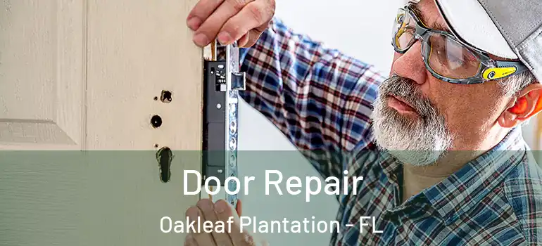  Door Repair Oakleaf Plantation - FL