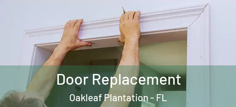  Door Replacement Oakleaf Plantation - FL