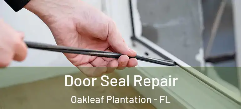 Door Seal Repair Oakleaf Plantation - FL