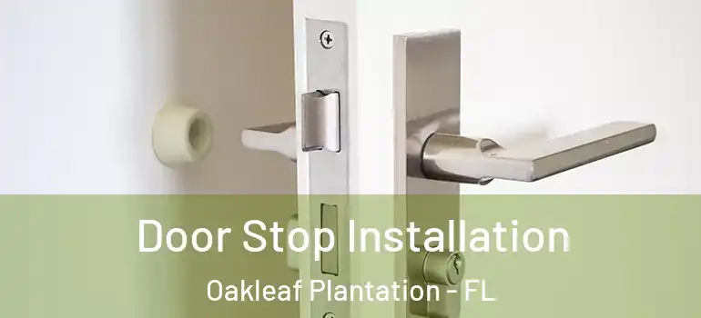  Door Stop Installation Oakleaf Plantation - FL