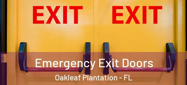  Emergency Exit Doors Oakleaf Plantation - FL