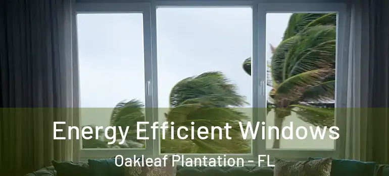  Energy Efficient Windows Oakleaf Plantation - FL