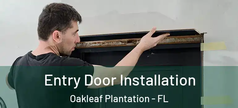  Entry Door Installation Oakleaf Plantation - FL