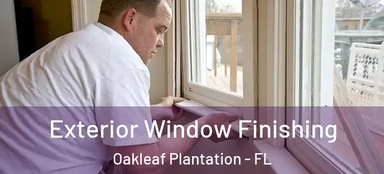  Exterior Window Finishing Oakleaf Plantation - FL
