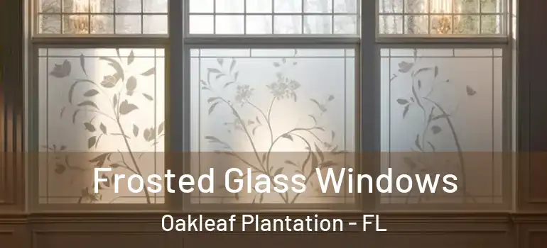  Frosted Glass Windows Oakleaf Plantation - FL