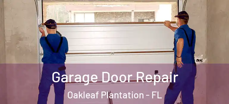  Garage Door Repair Oakleaf Plantation - FL