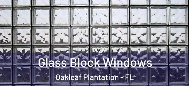  Glass Block Windows Oakleaf Plantation - FL