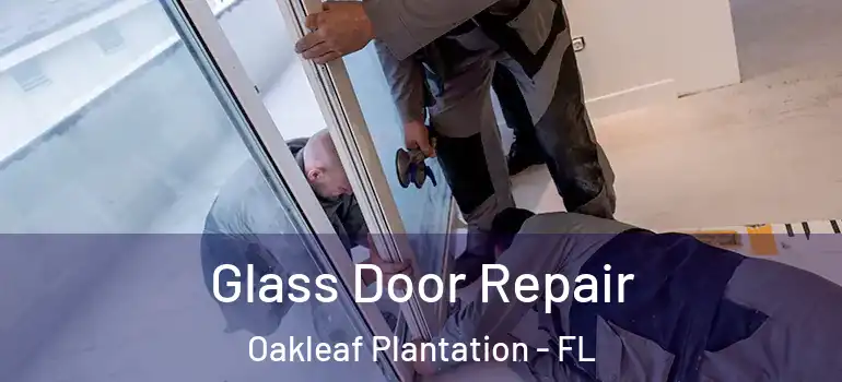  Glass Door Repair Oakleaf Plantation - FL