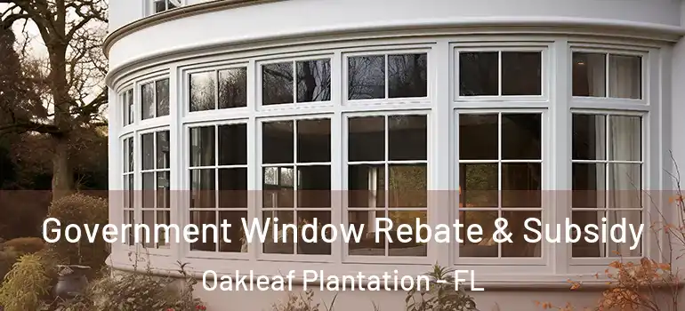  Government Window Rebate & Subsidy Oakleaf Plantation - FL
