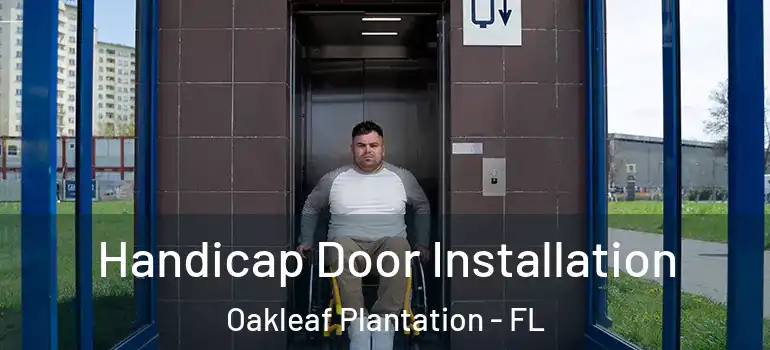  Handicap Door Installation Oakleaf Plantation - FL
