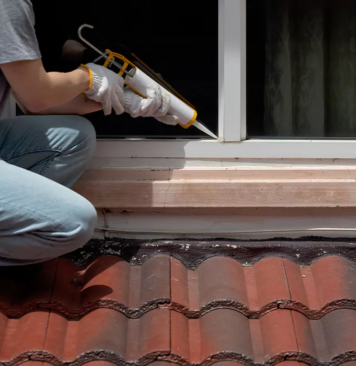 Roof Window Services in Oakleaf Plantation, Florida