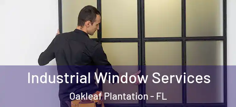  Industrial Window Services Oakleaf Plantation - FL