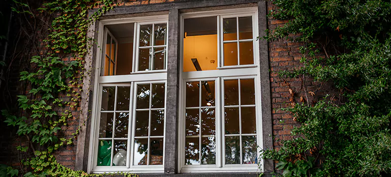 Energy Efficient Wood Windows in Oakleaf Plantation, FL