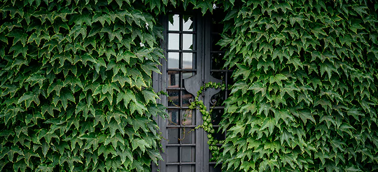 Garden Gate Repair in Oakleaf Plantation, FL