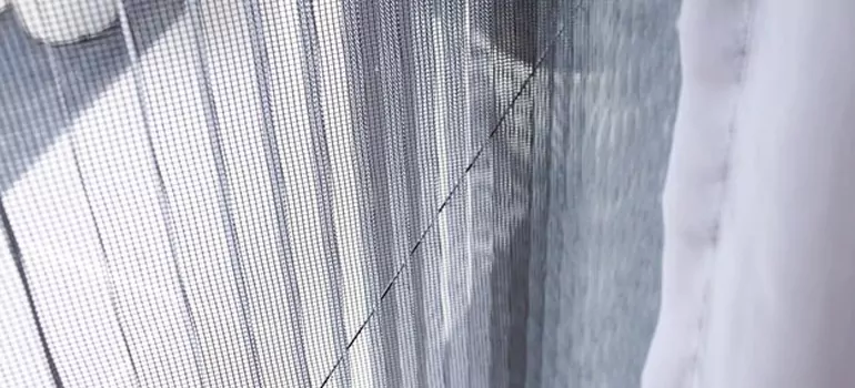 Fixing Screen Window Mesh in Oakleaf Plantation, FL