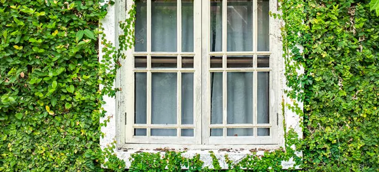 Garden Window Repair Near Me in Oakleaf Plantation, FL