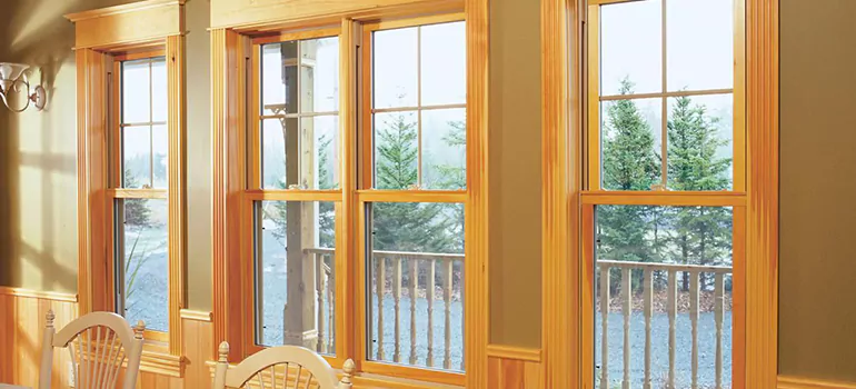 Government Incentives For Replacement Windows in Oakleaf Plantation, FL
