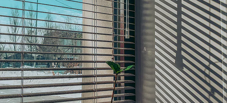 Commercial Window Blinds in Oakleaf Plantation, FL