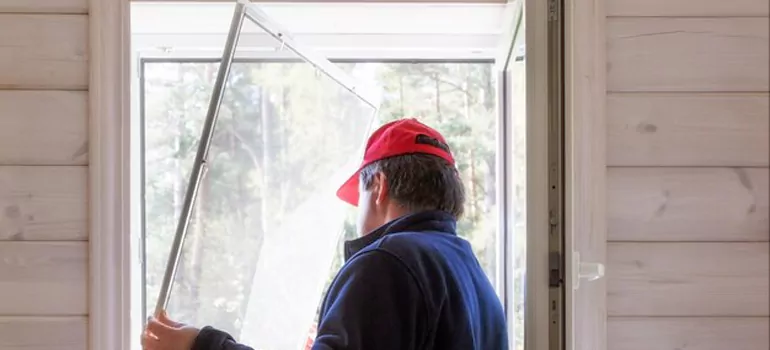 Expandable Window Screen Installation in Oakleaf Plantation, FL
