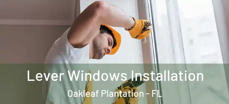  Lever Windows Installation Oakleaf Plantation - FL