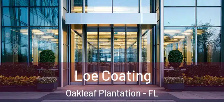  Loe Coating Oakleaf Plantation - FL
