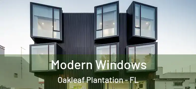  Modern Windows Oakleaf Plantation - FL