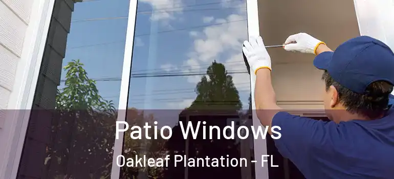  Patio Windows Oakleaf Plantation - FL