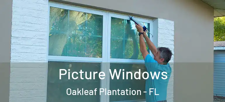  Picture Windows Oakleaf Plantation - FL