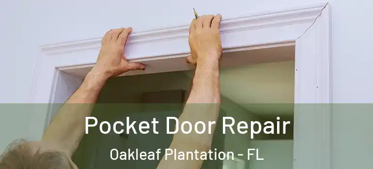  Pocket Door Repair Oakleaf Plantation - FL