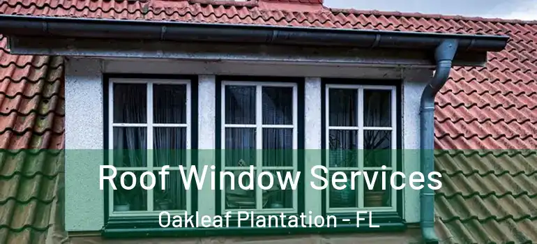  Roof Window Services Oakleaf Plantation - FL