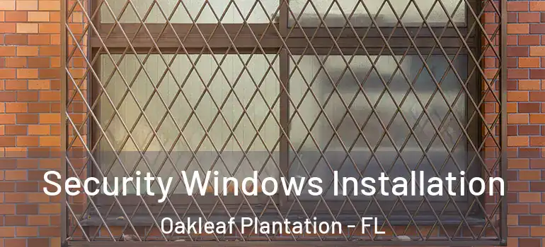  Security Windows Installation Oakleaf Plantation - FL