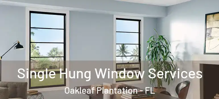  Single Hung Window Services Oakleaf Plantation - FL