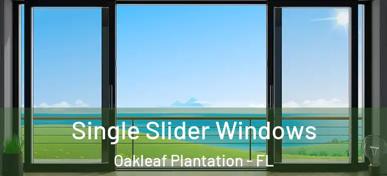  Single Slider Windows Oakleaf Plantation - FL
