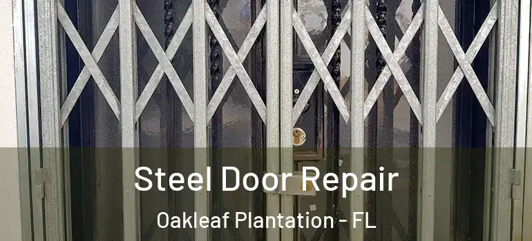  Steel Door Repair Oakleaf Plantation - FL