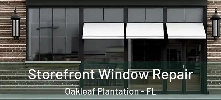  Storefront Window Repair Oakleaf Plantation - FL