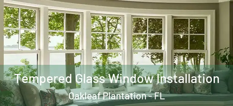  Tempered Glass Window Installation Oakleaf Plantation - FL