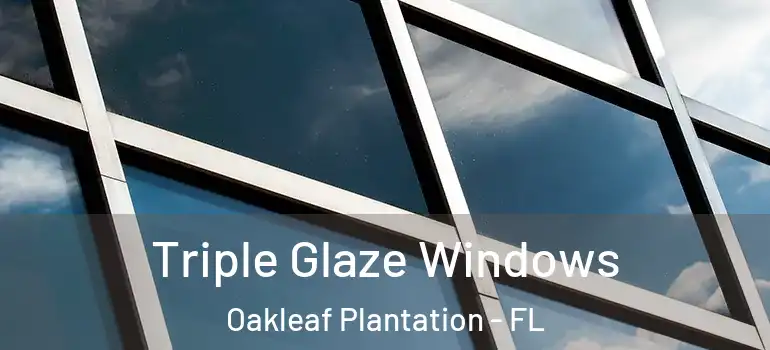  Triple Glaze Windows Oakleaf Plantation - FL