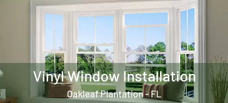  Vinyl Window Installation Oakleaf Plantation - FL