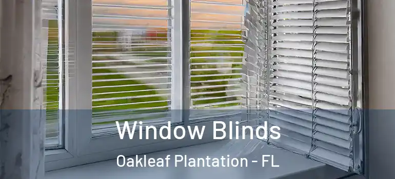  Window Blinds Oakleaf Plantation - FL