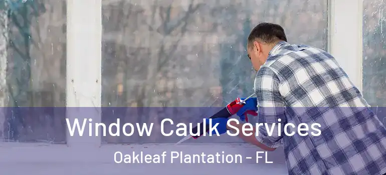  Window Caulk Services Oakleaf Plantation - FL