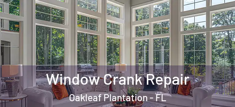  Window Crank Repair Oakleaf Plantation - FL